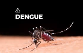 http://arbia.com.ar/imagenes/dengue.jpg