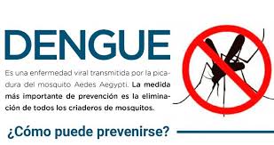 /imagenes/dengue1.jpg